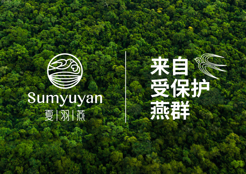 夏羽燕燕窩品牌全案策劃設(shè)計